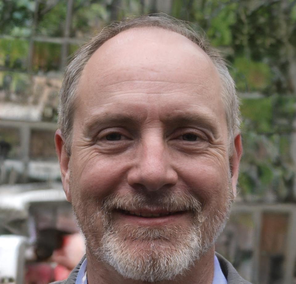 Retrato de Radomir Tomaš